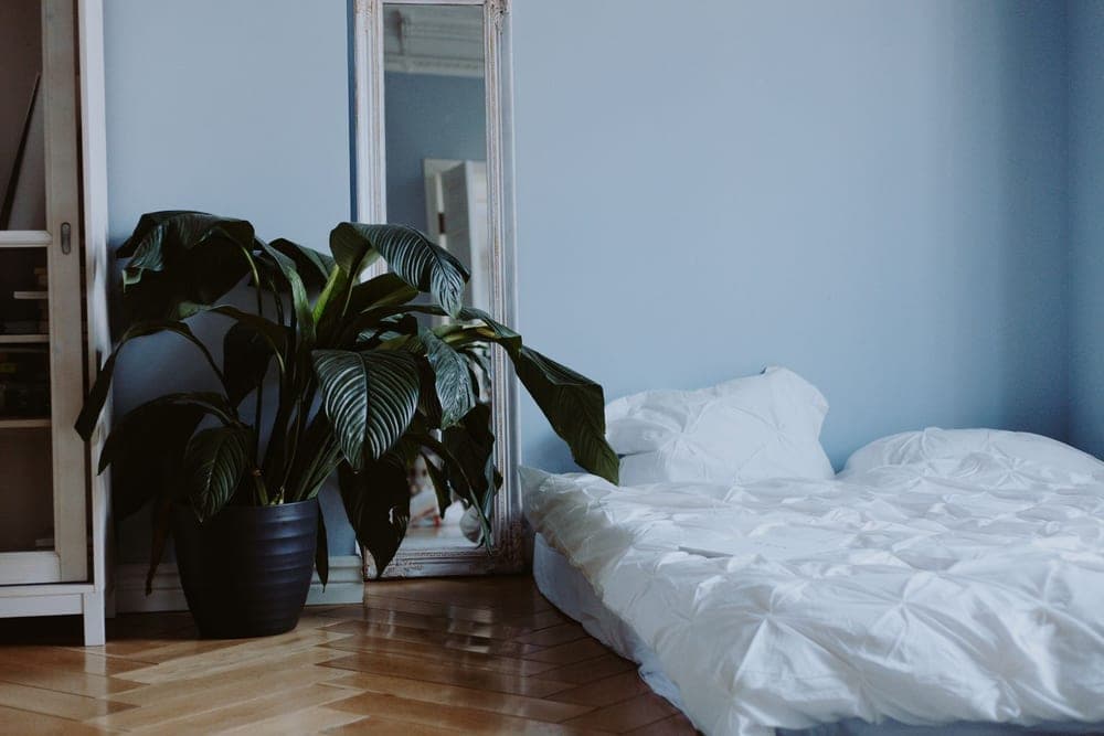 A tall framed full-length mirror leaning against a bedroom wall beside a plant